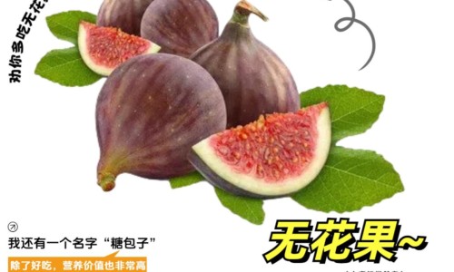 干艾叶熬水喝的功效-干艾叶泡脚的好处专区_干艾叶煮水泡脚的功效是什么专区_干艾叶煮水泡脚的功效网