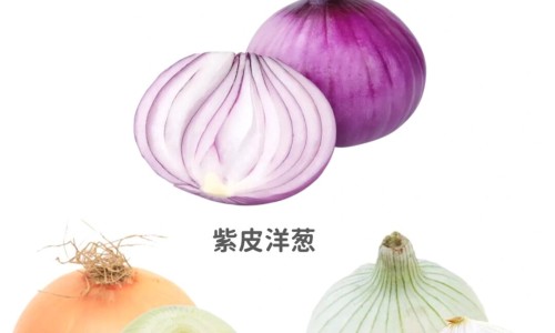 干艾叶泡脚的好处专区_干艾叶煮水泡脚的功效是什么专区_干艾叶煮水泡脚的功效网